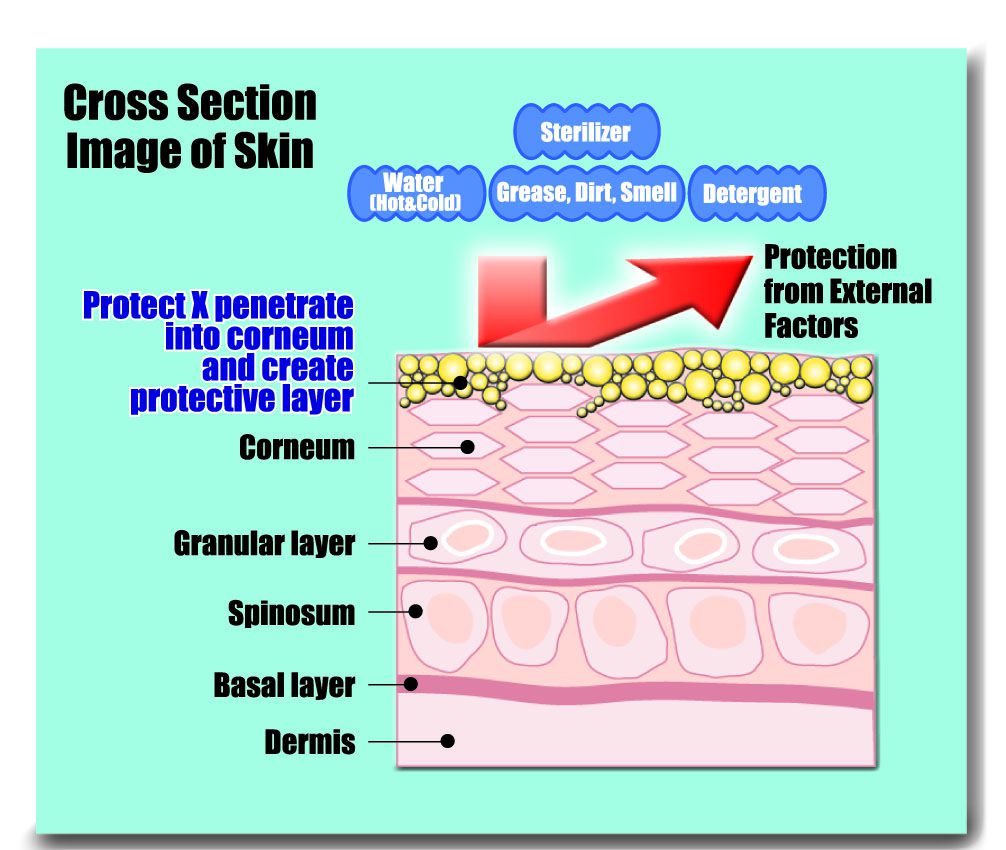 Skin Image